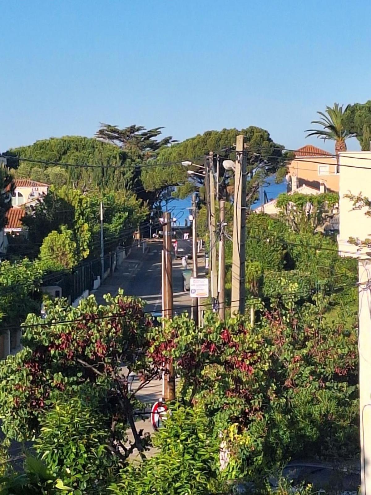 Appartement La Fregate Avec Terrasse A 100m De La